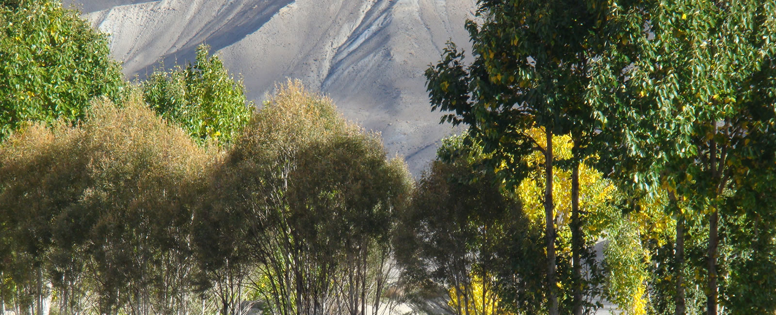 mustang-trekking 