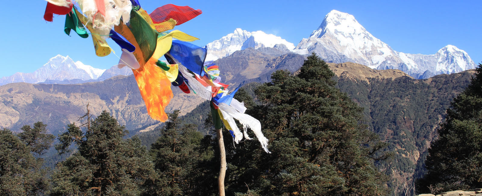 nepal-highlight-tours-in-nepal 
